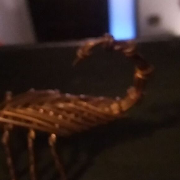 Wire Scorpion  - Picture 3 of 6